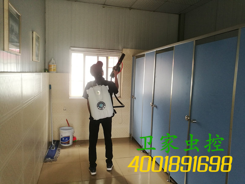 南海狮山除四害公司-灭蚊子杀蟑螂-狮山除苍蝇灭鼠公司《虫害风险防控管理专家》