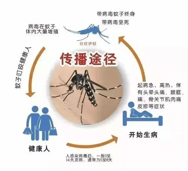 社区街道灭蚊方案