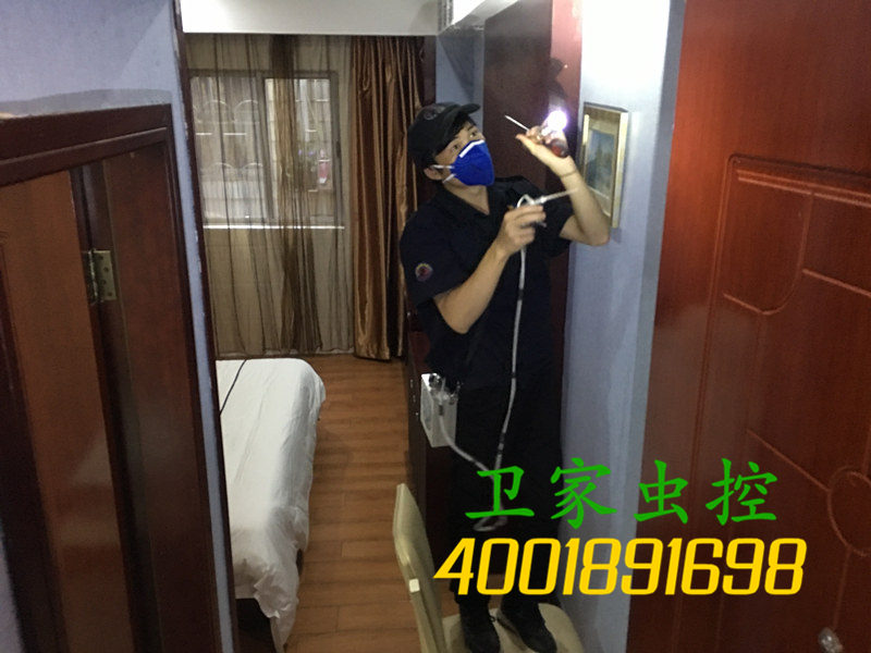海珠南洲白蚁防治所公司{您身边的白蚁专家}指定上门灭治白蚁除杀白蚁中心-南洲专业权威的白蚁预防治理